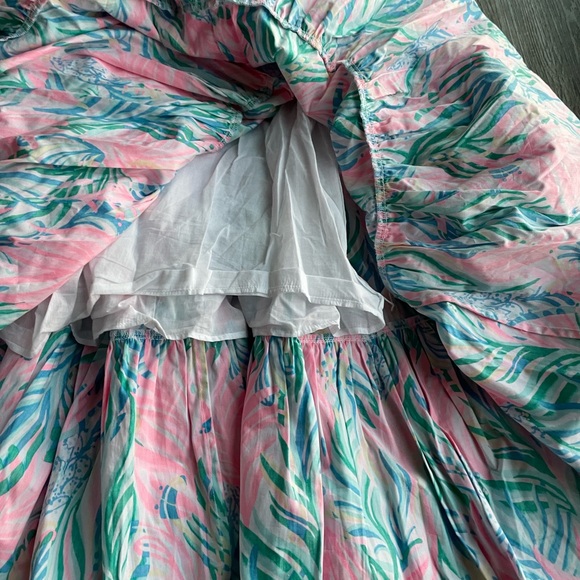 NWT Lilly Pulitzer Edith Dress - Picture 6 of 11